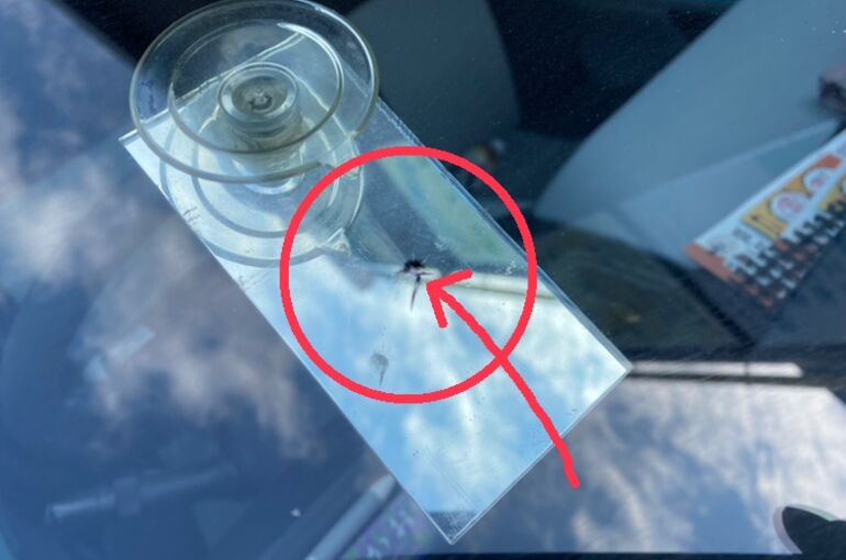 5BA0A490-3D52-45CD-AC19-30E97CA3A70C