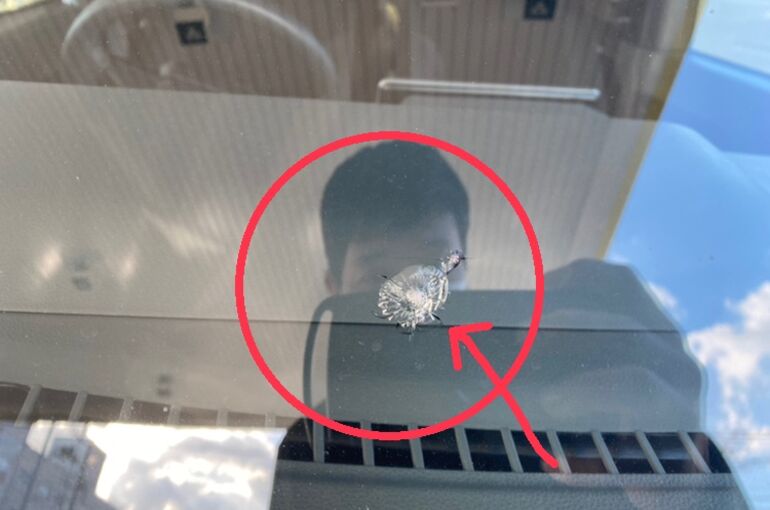 8A6E8BC4-3335-41F0-86C8-DB7E68EB96D0